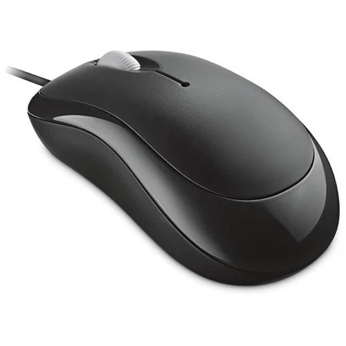 Esports Gaming Business - Microsoft Basic Optical 100 인체공학적 비즈니스